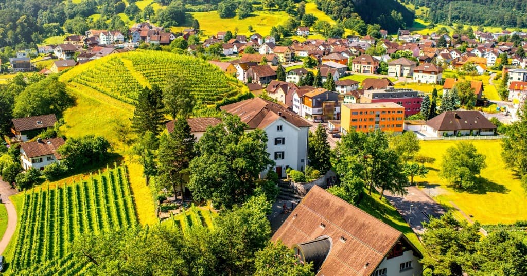 Bağlı teraslar ve kırmızı çatılı köy kuşbakışı, Liechtenstein