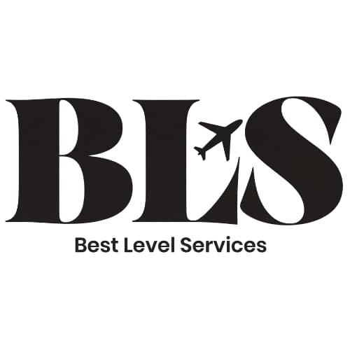 BLS Vize danışmanlık firması logosu