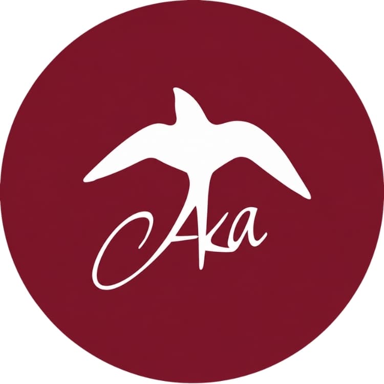 AKA Eğitim logosu